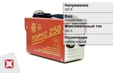 Сварочный аппарат Торус 250 А универсальный в Костанае